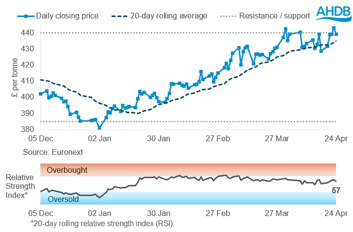 Line graph of Rapeseed futures Nov-26 contract prices over the past six months.